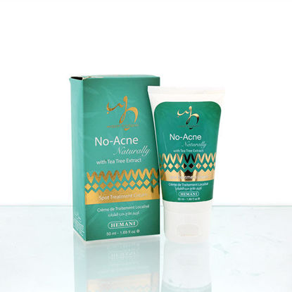 wb by hemani no acne naturally with antibacterial tea tree oil face cream for spot treatment
